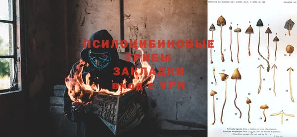 прущие грибы Кукмор
