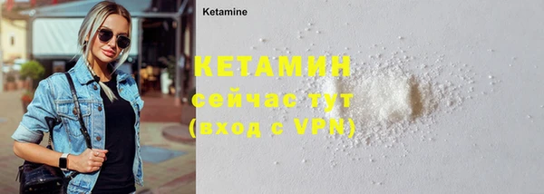 крисы Кулебаки