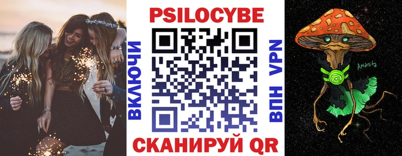 Псилоцибиновые грибы Psilocybe  цена наркотик  Новотитаровская 